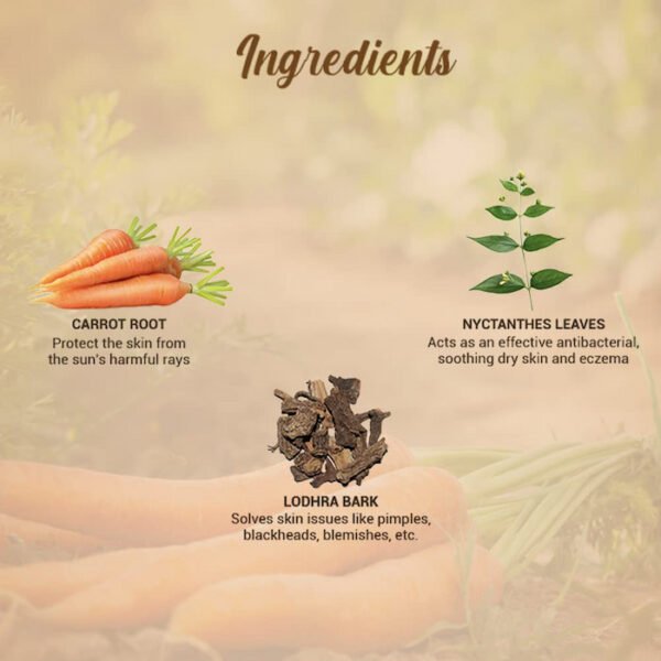 Biotique Carrot SPF 40 UVAUVB Sunscreen 190ml (2) Biotique Carrot SPF 40 UVA/UVB Sunscreen 190ml