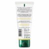 Biotique Pineapple Oil Control Foaming Face Wash 150ml
