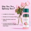 Biotique Rose Pore Tightening Toner For All Skin Type 120 ml